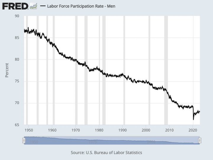 a black line indicates the decline in labor force participation
